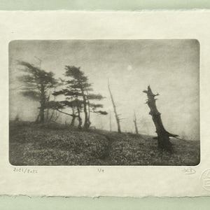 Misty Summit Photogravure, Original Handmade Etching on Washi, Limited Edition of 9, Signed & Embossed Black and White Fine Art Print