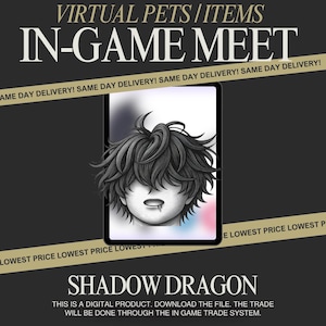May include: Digital art advertisement for virtual pets and items. The image features a stylized illustration of a character with dark hair and a tablet. Text includes "IN-GAME MEET" and "SHADOW DRAGON". The background is black with a gold banner.