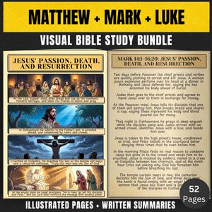 Illustrated New Testament Printable PDF | Matthew Mark & Luke Bible Study | Beginner Scripture Study Guide for Teens Adults