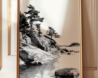 May include: Framed black and white landscape art print. The artwork depicts a coastal scene with rocky cliffs, evergreen trees, and calm water. The print is in a gold-colored frame and leans against a white wall.