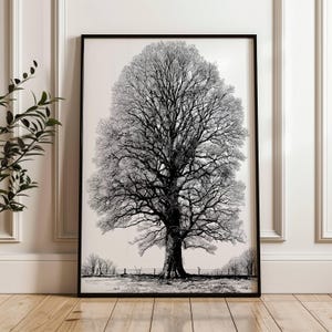 May include: Black and white framed art print of a large tree with detailed branches and a full canopy. The artwork is set against a neutral background, with a fence and distant trees visible at the base. The frame is black.