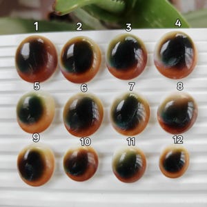 May include: Twelve oval cabochons arranged in three rows, each featuring a dark central pupil surrounded by a gradient of blue, green, and brown tones. The pieces are numbered one through twelve, displaying a smooth, glossy, and domed surface.