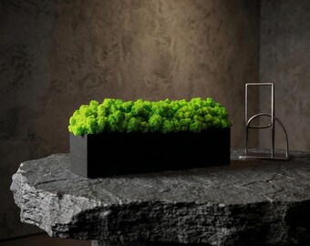 Custom Wooden Moss Planter, Desk Decor, Office Desk Decor, Corporate Gift, Wood Planter Box, Modern Home Decor, 5th 7th 9th Anniversary Gift