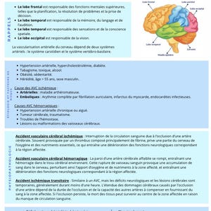 Puede incluir: Infografía educativa sobre el accidente cerebrovascular (ACV) en francés. Incluye diagramas del cerebro, detallando causas, síntomas y tipos de ACV, como los ictus isquémicos y hemorrágicos.