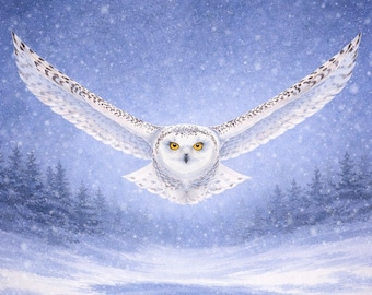 Diamant schilderij kit sneeuwuil - vliegende uil winterlandschapskunst - majestueuze uil diamantkunst - ambachtelijke pooldieren kit