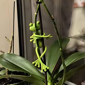 Peut inclure: Une figurine de grenouille vert clair enroulée autour d'une tige de plante. La grenouille a de grands yeux et des bras et des jambes tendus. La figurine est un élément décoratif pour les plantes d'intérieur, ajoutant une touche de fantaisie à la décoration intérieure.