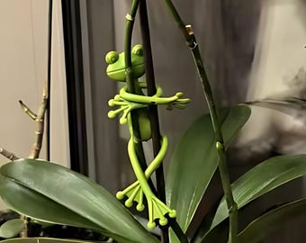 5pcs Frog Plant Support Stakes, Flexible Frog Hugger, Support for Potted Plants & Vines, Amphibian Decor, Toad Decoration