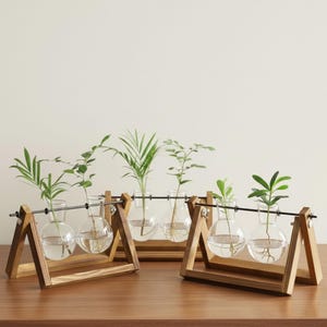 May include: Wooden propagation stations with glass bulb vases holding green plants. The vases are suspended from a metal bar and supported by a wooden A-frame. The plants have visible roots and are filled with water.