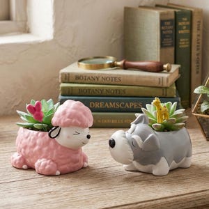 Könnte beinhalten: Zwei Keramik-Tierpflanzgefäße, eines in Form eines rosa Schafs und das andere in Form eines grauen Hundes, die jeweils eine Sukkulentenpflanze halten. Das Schaf hat einen rosa Kopf und der Hund eine schwarze Nase.