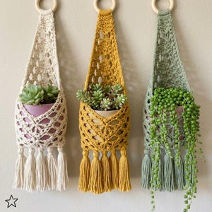 May include: Three hanging crochet plant holders in cream, mustard yellow, and sage green. Each holder features a lattice pattern, a wooden ring at the top, and four tassels at the bottom. They contain potted succulents and a string of pearls plant.