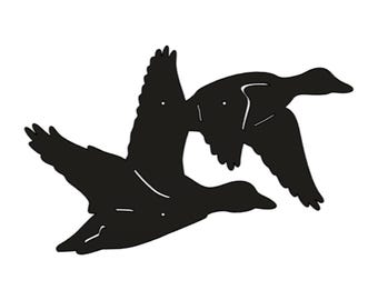 Flying Ducks: lakeside cabin, duck flyway, front porch
