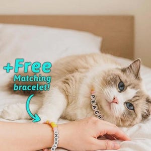 Personalized Pet Name Necklace & Bracelet Set – Custom Dog Cat Jewelry, Twinning Gift