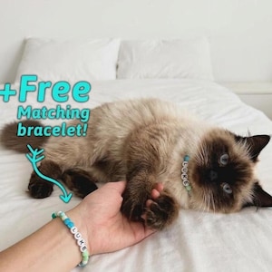 Personalized Pet Name Necklace & Matching Bracelet Set – Custom Name Beads for Dog or Cat, Adjustable Fit, Unique Gift for Pet Lovers