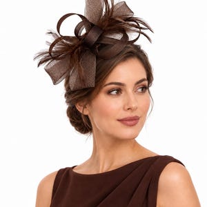 May include: A dark brown fascinator hat featuring a structured mesh bow and delicate feathers. The headpiece is crafted from stiffened, semi-sheer fabric loops arranged in a layered, dimensional design with wispy feather accents.