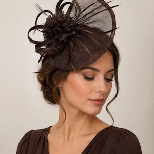 May include: A dark brown fascinator hat featuring a structured, semi-circular mesh base, a central fabric flower, and decorative loops. The headpiece is crafted from stiffened, woven material with thin, radiating structural ribs and fine feather accents.