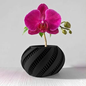 May include: A vibrant magenta orchid blooms from a black, spherical planter. The planter features a repeating, diagonal stripe design. The flower's petals are fully open, and the stem is a light brown color.