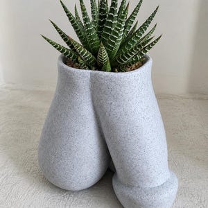 Peut inclure: Un pot de fleurs en céramique gris clair moucheté avec une forme anatomique arrondie. Le pot contient une plante succulente verte aux feuilles pointues rayées de blanc. La surface du pot a un aspect texturé rappelant la pierre avec des taches gris foncé.