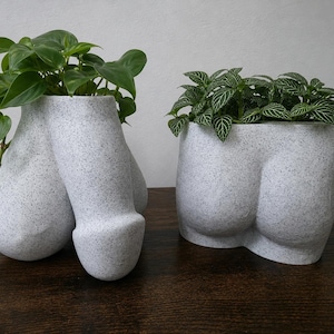 Peut inclure: Deux cache-pots gris clair mouchetés aux formes anatomiques. L'un a la forme de parties génitales masculines et contient une plante verte tombante. L'autre a la forme de fesses et contient une petite plante verte aux feuilles nervurées de blanc.