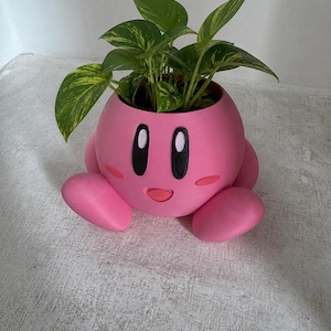 May include: A pink, spherical planter shaped like the character Kirby, featuring large black and white eyes, a small pink mouth, and two rounded pink feet. A green and yellow variegated pothos plant grows out of the top opening of the planter.