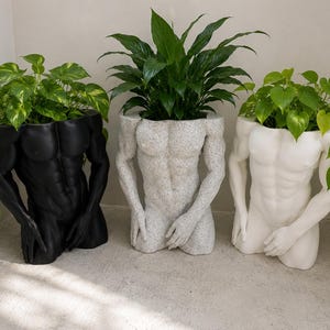Vaso de plantas grande em formato de corpo masculino – Vaso de plantas impresso em 3D – 18 cm x 15 cm – LGBTQ+ – Novidade