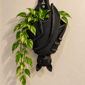 May include: A matte black wall-mounted planter shaped like a bat hanging upside down with its wings wrapped around the body. The planter holds a trailing pothos plant with variegated green and yellow heart-shaped leaves, secured by a single screw.