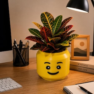 May include: A bright yellow cylindrical planter featuring a printed black smiling face with eyes and a mouth. The planter holds a vibrant croton plant with variegated leaves in shades of deep green, bright yellow, and dark red, creating a striking contrast.