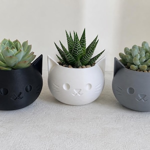 Op de afbeelding: Drie katvormige plantenbakken in zwart, wit en grijs, elk met een andere vetplant. De plantenbakken hebben een ronde vorm met kattenoren en gezichtskenmerken. De vetplanten variëren in kleur en textuur.