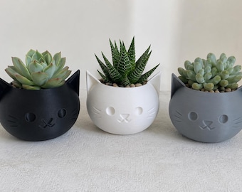 Kitty Sukkulenten Pflanzgefäße 3er Set - 3D Gedruckt (Pflanzen nicht Enthalten)