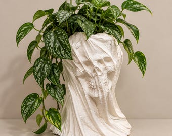Peut inclure: Un pot de fleurs blanc en forme de crâne humain drapé dans du tissu, contenant une plante verte retombante aux feuilles en forme de cœur avec des panachures argentées. La sculpture du crâne présente des traits faciaux sous le tissu texturé.