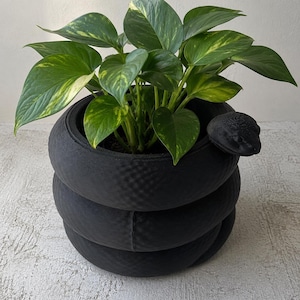 以下が含まれることがあります： 黒い蛇の形をした植木鉢で、黄緑色の斑入りの葉を持つ緑色の植物が入っています。 植木鉢はテクスチャ加工された素材で作られており、詳細な蛇の頭のデザインが施されています。 植物は豊かで鮮やかです。