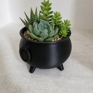 Può includere: Un vaso nero a forma di calderone pieno di varie piante grasse. Il vaso ha tre piccole gambe e un manico laterale. Le piante grasse sono verdi e verde-blu, e il terreno è ricoperto da piccoli ciottoli marrone chiaro.