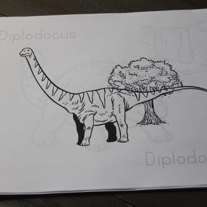 Puede incluir: Ilustraci&oacute;n en blanco y negro de un dinosaurio Diplodocus sobre papel blanco. El dinosaurio est&aacute; de pie junto a un &aacute;rbol. La palabra "Diplodocus" est&aacute; escrita encima del dinosaurio, y "Diplodoco" est&aacute; escrita debajo.