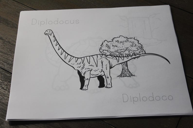 Puede incluir: Ilustraci&oacute;n en blanco y negro de un dinosaurio Diplodocus sobre papel blanco. El dinosaurio est&aacute; de pie junto a un &aacute;rbol. La palabra "Diplodocus" est&aacute; escrita encima del dinosaurio, y "Diplodoco" est&aacute; escrita debajo.