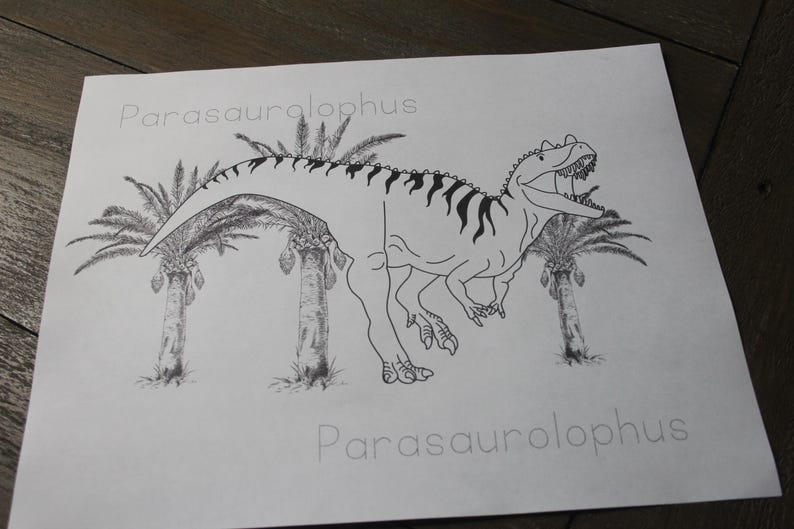 Puede incluir: Ilustraci&oacute;n en blanco y negro de un dinosaurio Parasaurolophus con palmeras de fondo. El nombre "Parasaurolophus" est&aacute; escrito encima y debajo del dinosaurio.