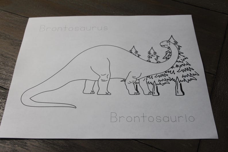 Puede incluir: Dibujo lineal en blanco y negro de un dinosaurio Brontosaurus con &aacute;rboles. La palabra "Brontosaurus" est&aacute; escrita encima del dinosaurio, y "Brontosaurio" est&aacute; escrita debajo.