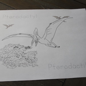 Puede incluir: Ilustraci&oacute;n en blanco y negro de un Pterod&aacute;ctilo en vuelo, con la palabra "Pterodactyl" encima. Un dibujo detallado de un paisaje est&aacute; debajo del Pterod&aacute;ctilo.