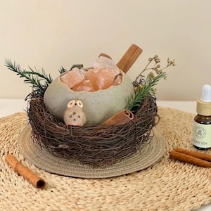 Puede incluir: Arreglo decorativo con un cuenco de cerámica verde claro lleno de cristales de sal rosa, palitos de canela y vegetación, anidado en un nido tejido. Una pequeña figura de búho está dentro del nido. También hay una botella de aceite esencial.