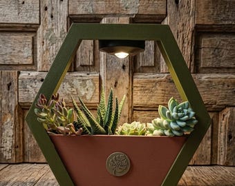 Doe-het-zelf terrariumset met USB-C oplaadbare LED-lamp | Aanpasbare designplantenbak van PLA | Inclusief 3 vetplanten | Decoratief cadeau met natuurthema