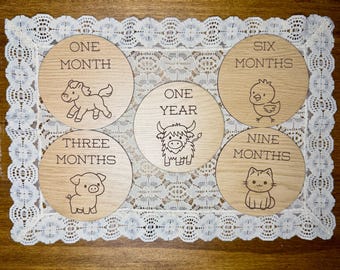 Baby Farm Animal Milestone Discs, Engraved Monthly Photo Props Set of 12