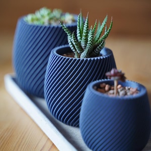 Puede incluir: Tres macetas redondeadas de color azul oscuro con una textura acanalada diagonal, cada una con una pequeña planta suculenta. Las macetas están dispuestas en fila sobre una bandeja rectangular de color claro, mostrando un diseño uniforme.