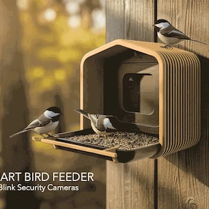 Smart Bird Feeder for Blink Camera | 3D Printed Birdhouse Mount, Wildlife Watching