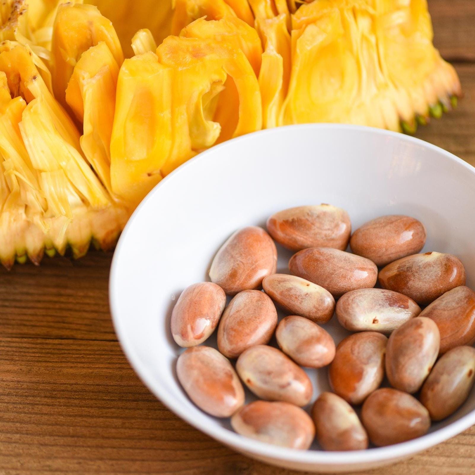 Jackfruit seeds - Etsy 日本
