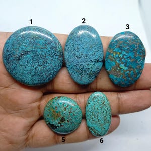 Può includere: Cinque cabochon di turchese lucidati con motivi a matrice scura, etichettati 1, 2, 3, 5 e 6. Le pietre variano in forma tra rotonda e ovale, mostrando sfumature di blu e verde con complesse venature nere e marroni su tutte le superfici.