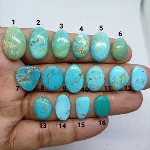 Puede incluir: Dieciséis piedras preciosas de turquesa ovaladas y redondeadas dispuestas en tres filas. Cada piedra muestra vetas naturales únicas y variaciones de color que van desde el verde pálido hasta el azul cielo brillante. Cada piedra está numerada del 1 al 16.