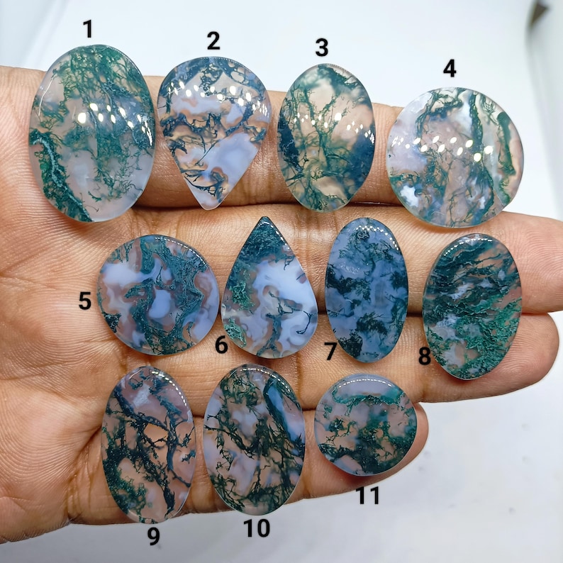 May include: Eleven polished moss agate cabochons in various shapes including oval, round, and teardrop. Each stone features a translucent white base with intricate, dark green, fern-like dendritic inclusions numbered one through eleven.