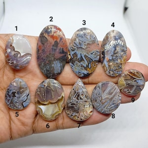 Può includere: Nove pietre preziose lucide di varie forme, tra cui ovali, a goccia e rotonde. Le pietre mostrano una gamma di colori, come marrone, bianco, viola e blu, con motivi e texture unici. Le pietre preziose sono tenute in una mano.