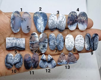 Dendritic Agate Pair Cabochon for Jewelry Making