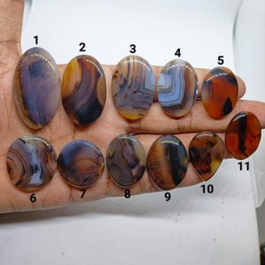 Può includere: Undici pietre preziose di agata levigate, lisce e di forma ovale in vari colori tra cui marrone, arancione, blu e grigio. Ogni pietra è numerata da 1 a 11 e mostra bande naturali uniche, strati traslucidi e inclusioni scure nella collezione.