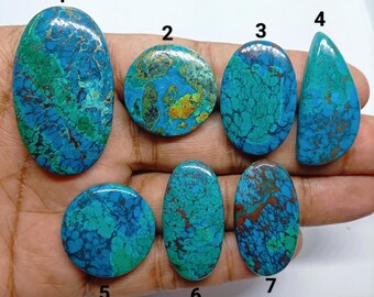May include: Seven polished turquoise gemstones in various shapes, including ovals, circles, and a teardrop, labeled with numbers one through seven. Each stone displays a unique pattern of vibrant blue and green hues with dark brown matrix veining.