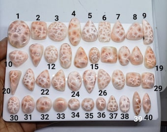 May include: A collection of forty polished, light pink and white patterned cabochons arranged on a white display board. Each stone features a unique web-like texture and is numbered from 1 to 40 in black ink for identification purposes.